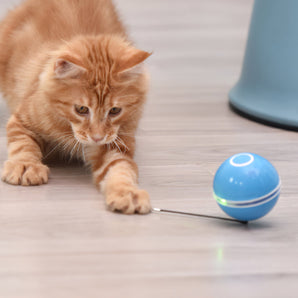 Cat Electric Roller Ball with LED Lighting & USB Charger