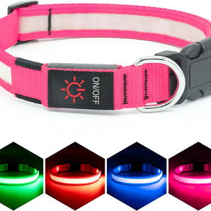 LED Dog Collar