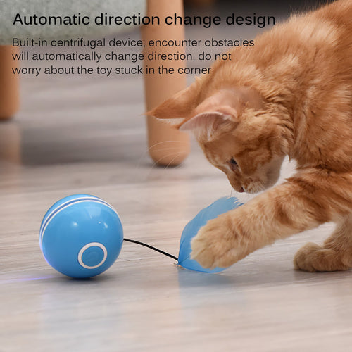 Cat Electric Roller Ball with LED Lighting & USB Charger