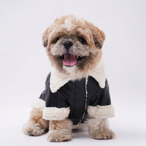 Leather Dog Jacket with Fur-Lined Collar and Velcro Closure