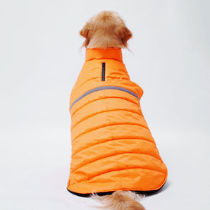 Neon Jacket for Dogs