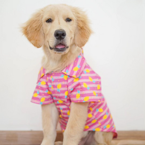 Lemon print summer Pet shirt